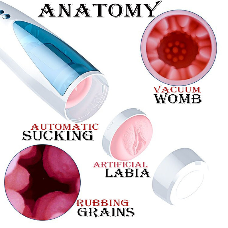 Removable Automatic Fleshlight, Realistic Labia Design with Artificial Grains and Wombs